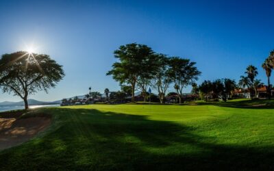 Where they are playing this week: MyGolfLife Open hosted by Pecanwood