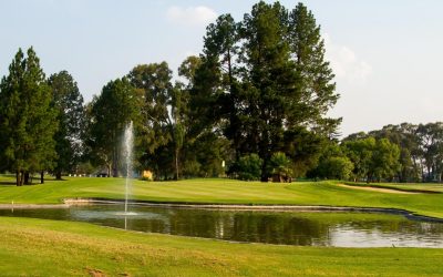 Where they’re playing this week: Gary & Vivienne Player Challenge at Benoni CC