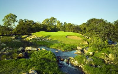 Where they’re playing this week: Vodacom Origins at Parys Golf & Country Estate