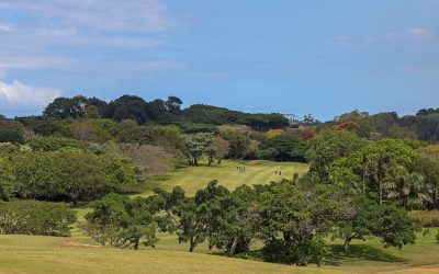 Where they’re playing this week: Sunbet Challenge at Umhlali
